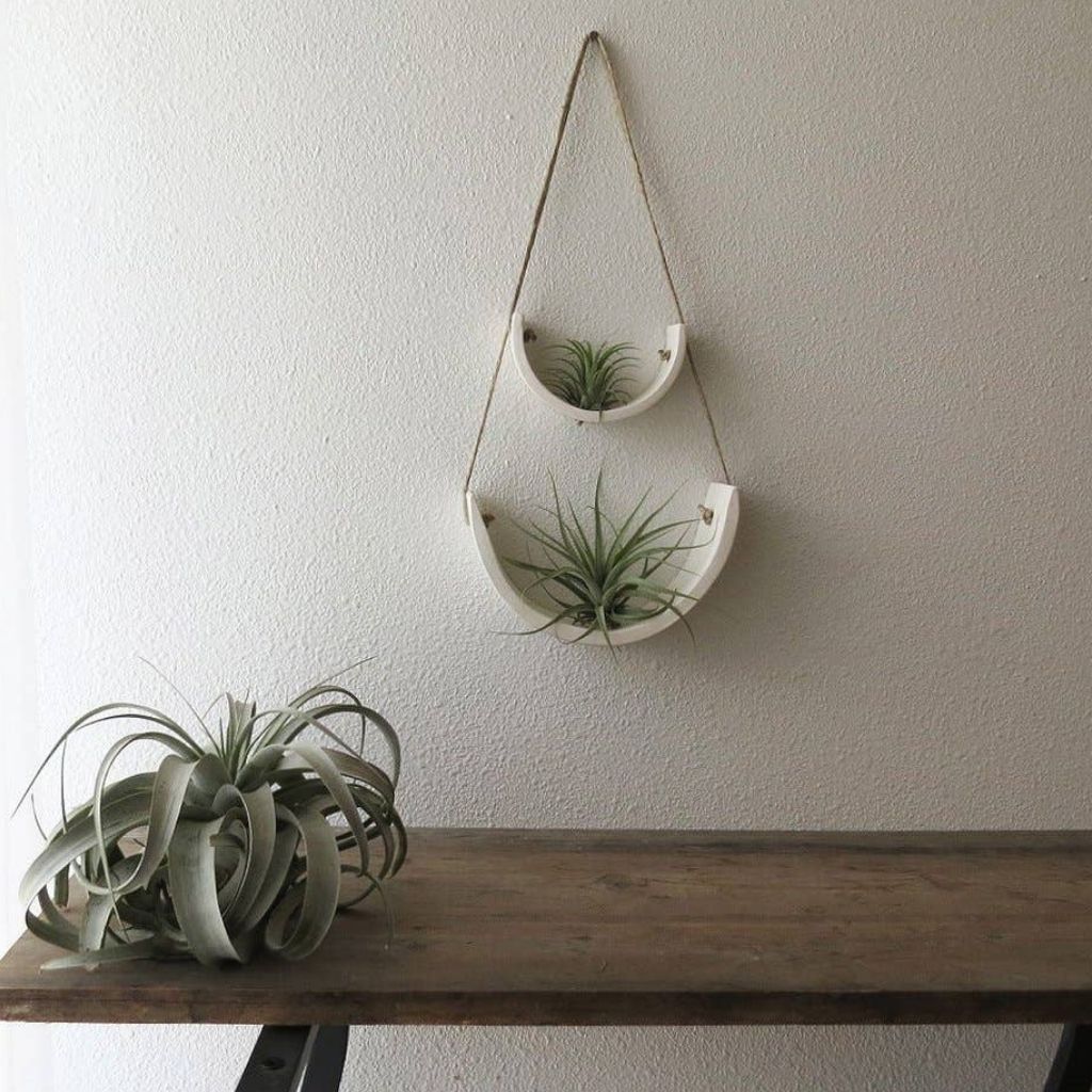 Hanging Ceramic Air Plant Cradle + Matte White + Small