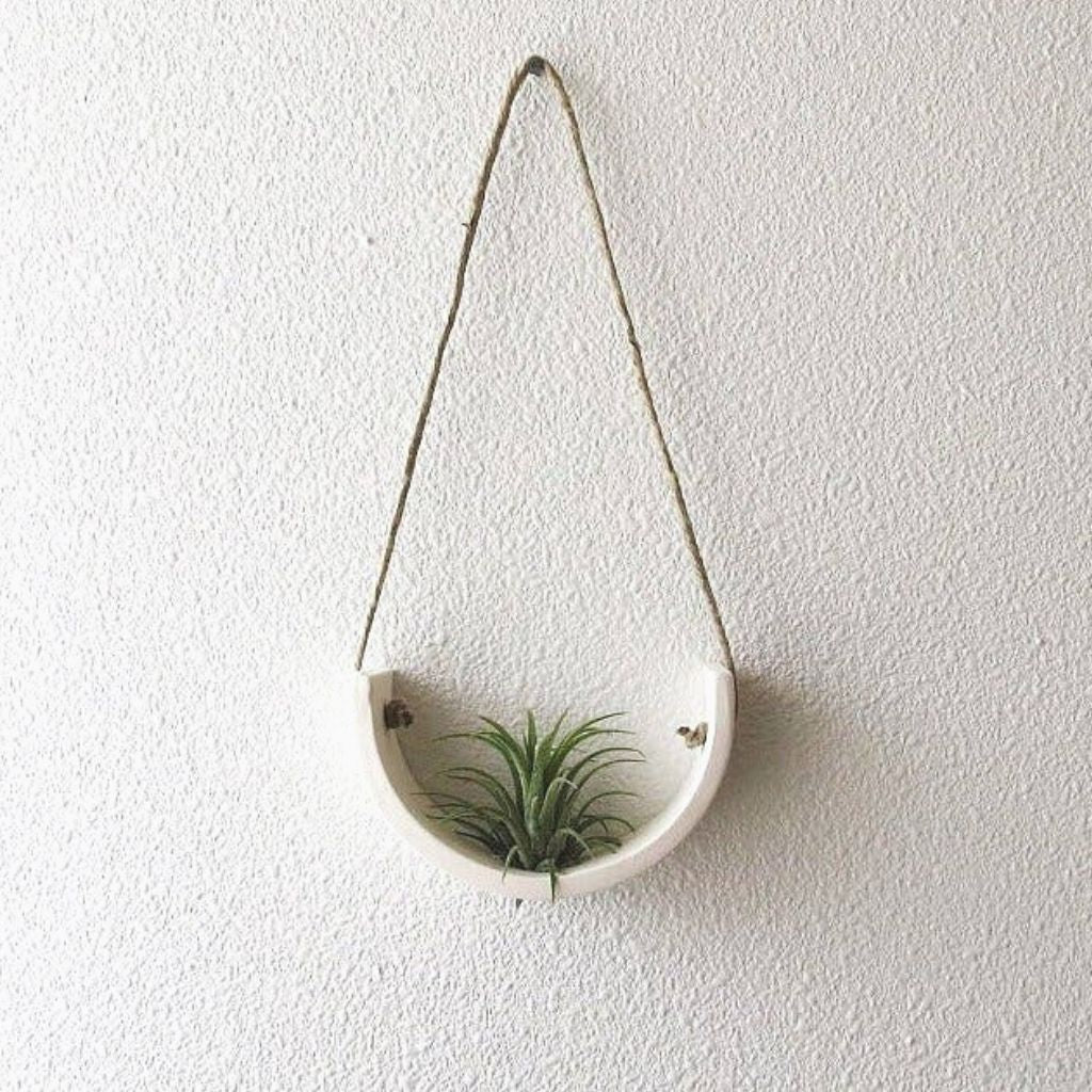 Hanging Ceramic Air Plant Cradle + Matte White + Small