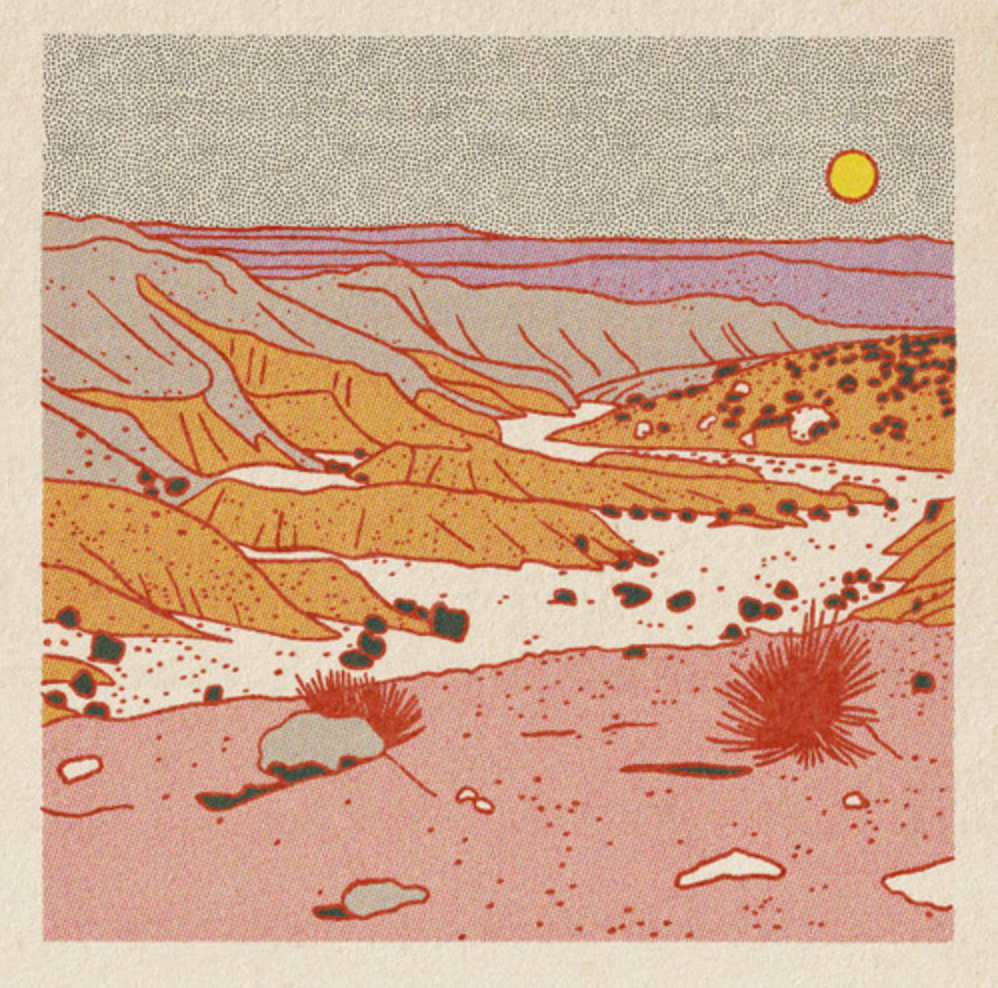 Desert Scene Postcards - Set of 12