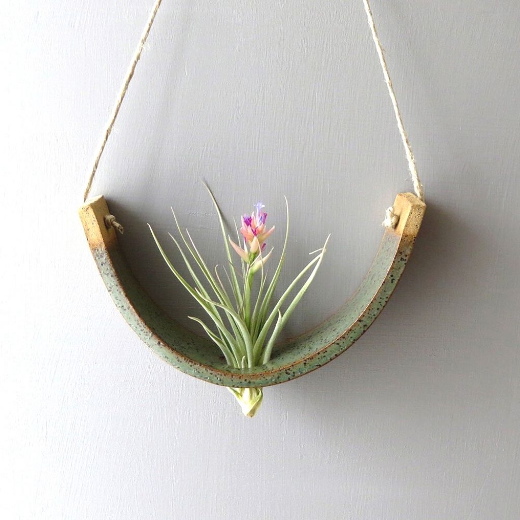 Hanging Ceramic Air Plant Cradle + Green Gunmetal + Large