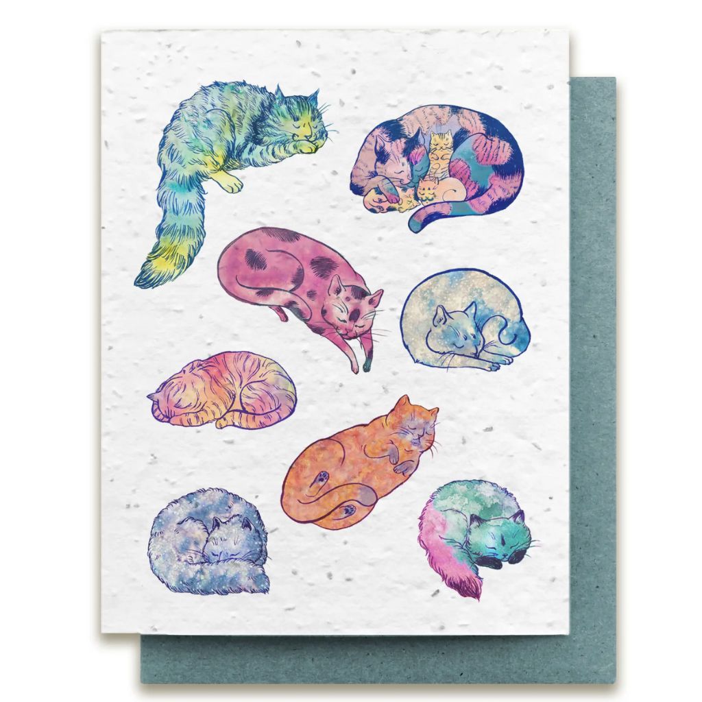 Cozy Cat Card