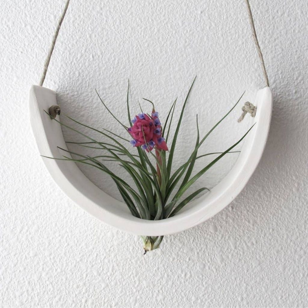 Hanging Ceramic Air Plant Cradle + Large Matte White