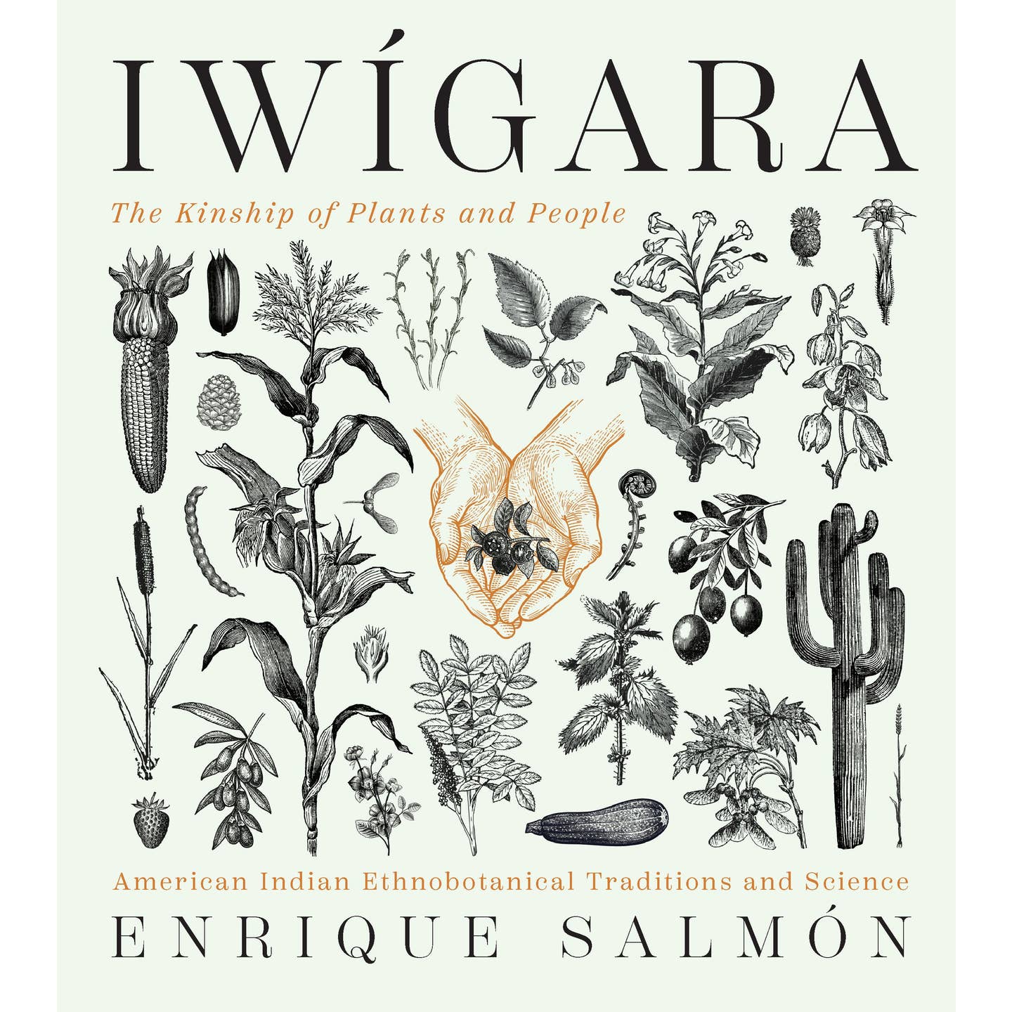 IWIGARA the kinship of plants & people