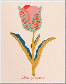 Tulip Botanical + Art Print