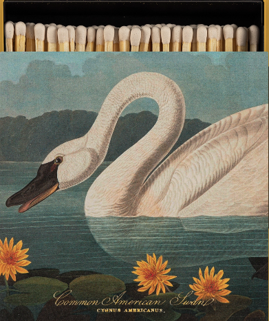 Swan + Matches