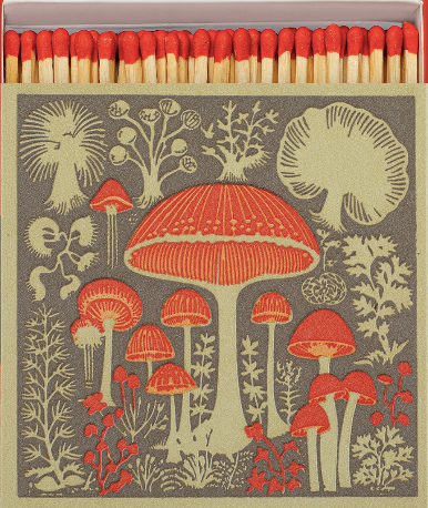 Mushroom + Matches
