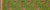Green Flora + Matches