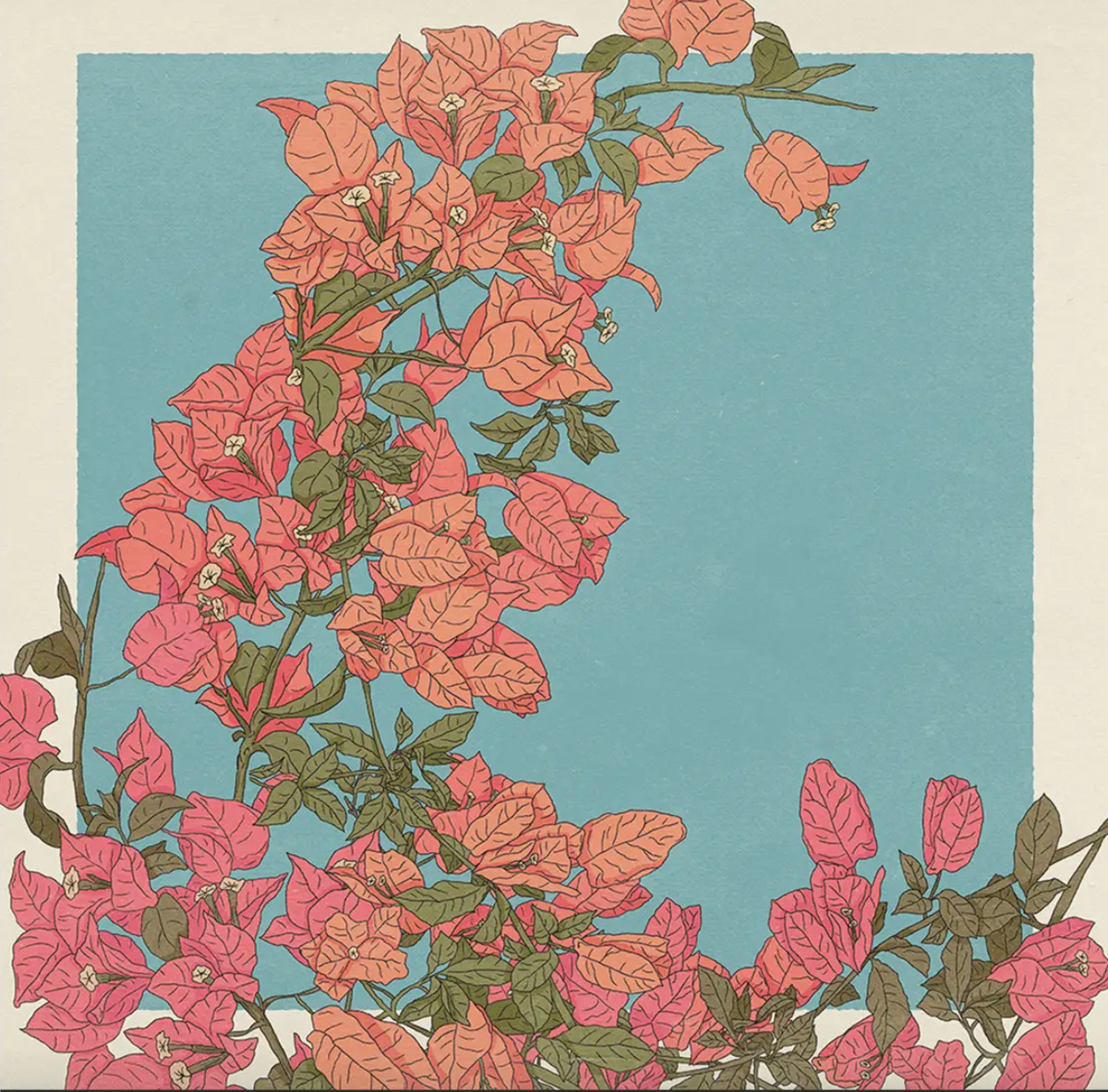 Bougainvillea + Print