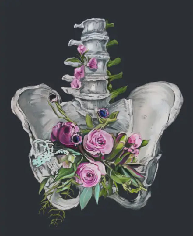 Floral Pelvis Flower Anatomy + Print
