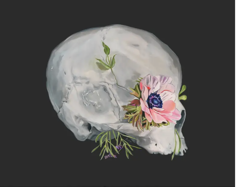 Floral Skull Flower Anatomy + Print