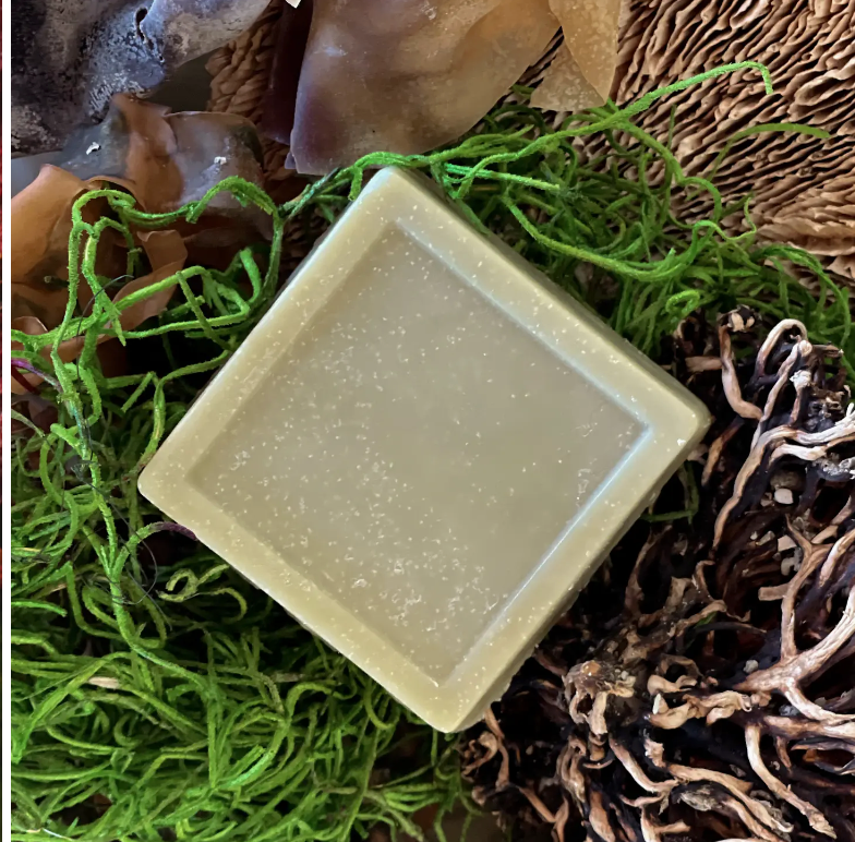 Bar Soap - Sea Palm + Cypres