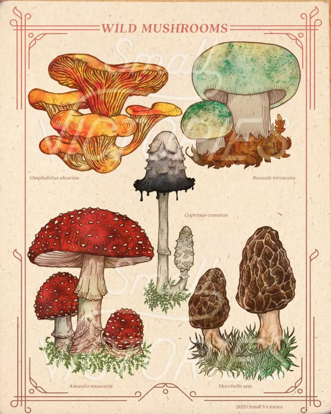 Wild Mushrooms + Print