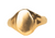 Signet + Ring ( Gold)