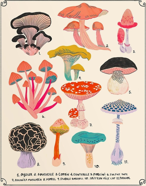 Mushrooms Chart + Small Print