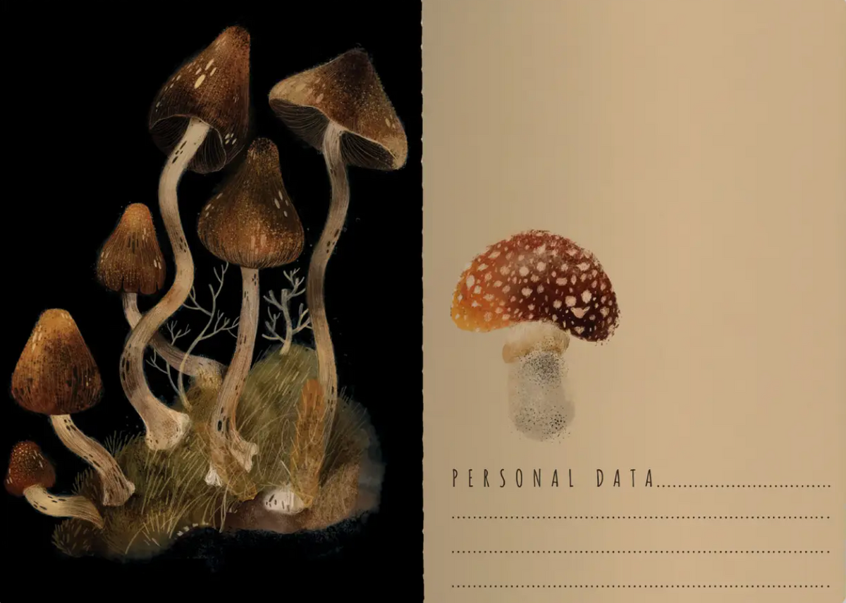 Forest Mushrooms + Notebook