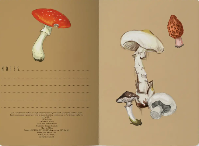 Mushroom on White + Notebook