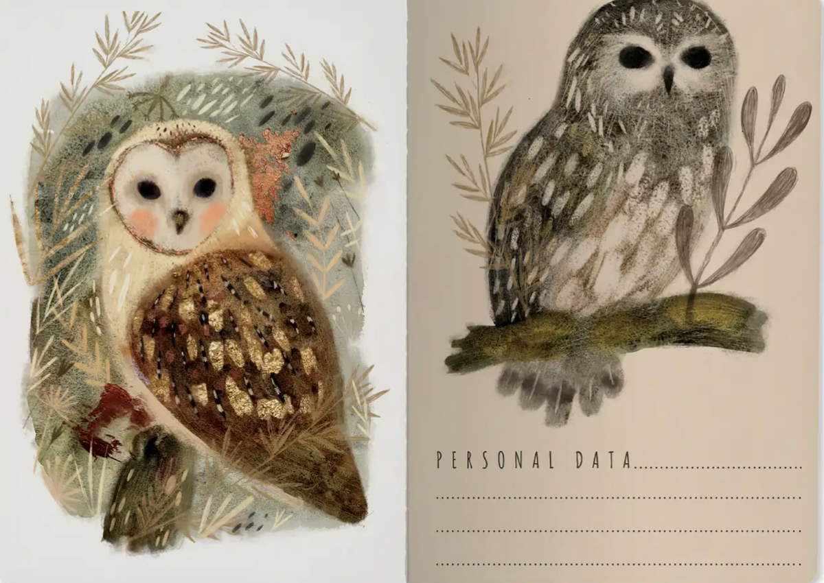 Owls + Notebook