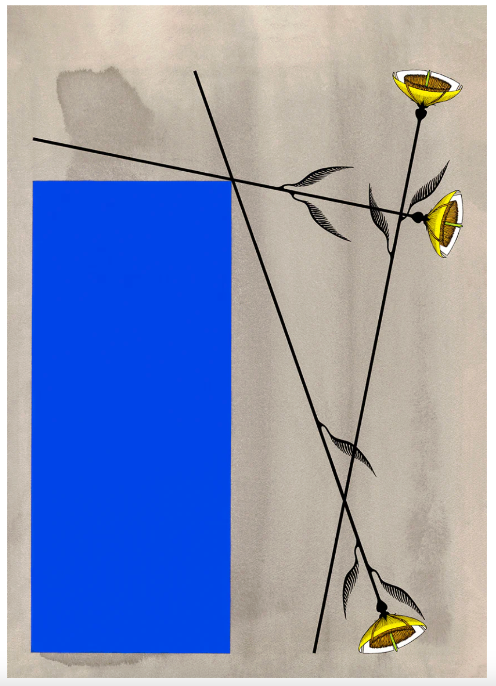 Heart Study 2 + Print