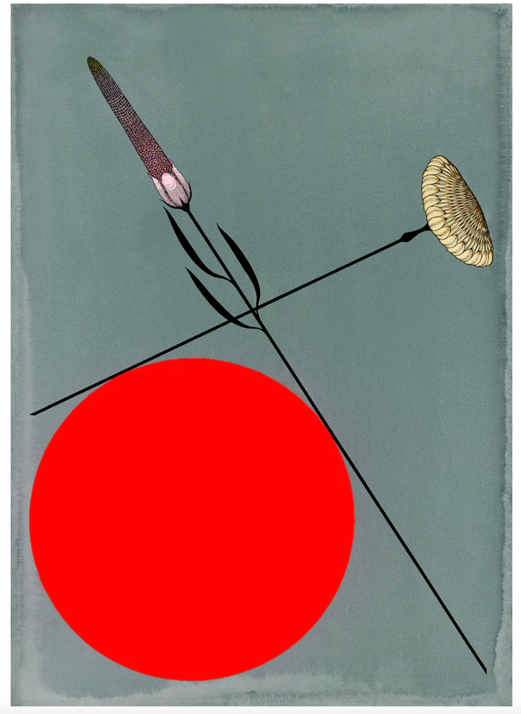 Heart Study 1 + Print