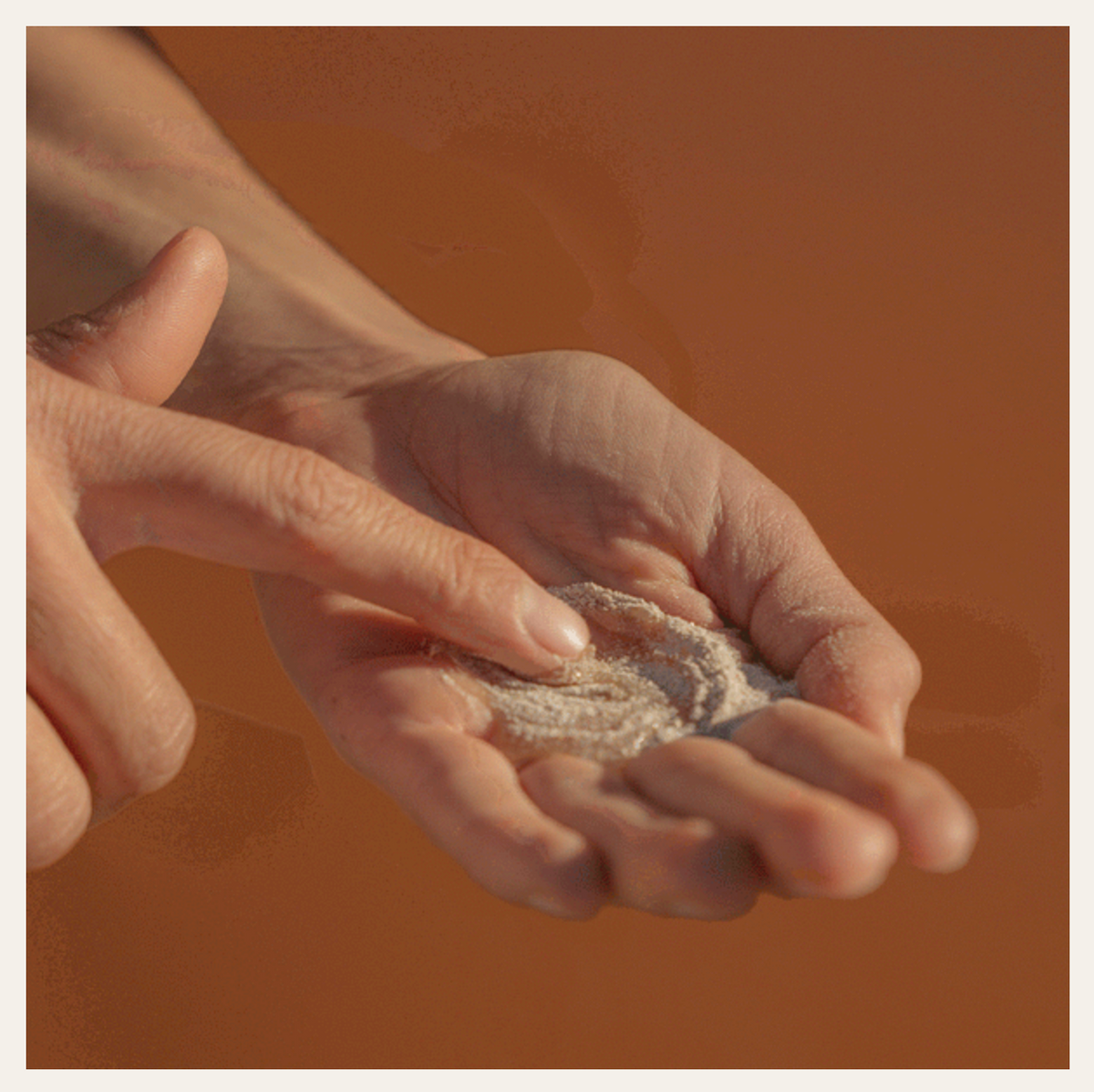 Olive &amp; Lotus Exfolient