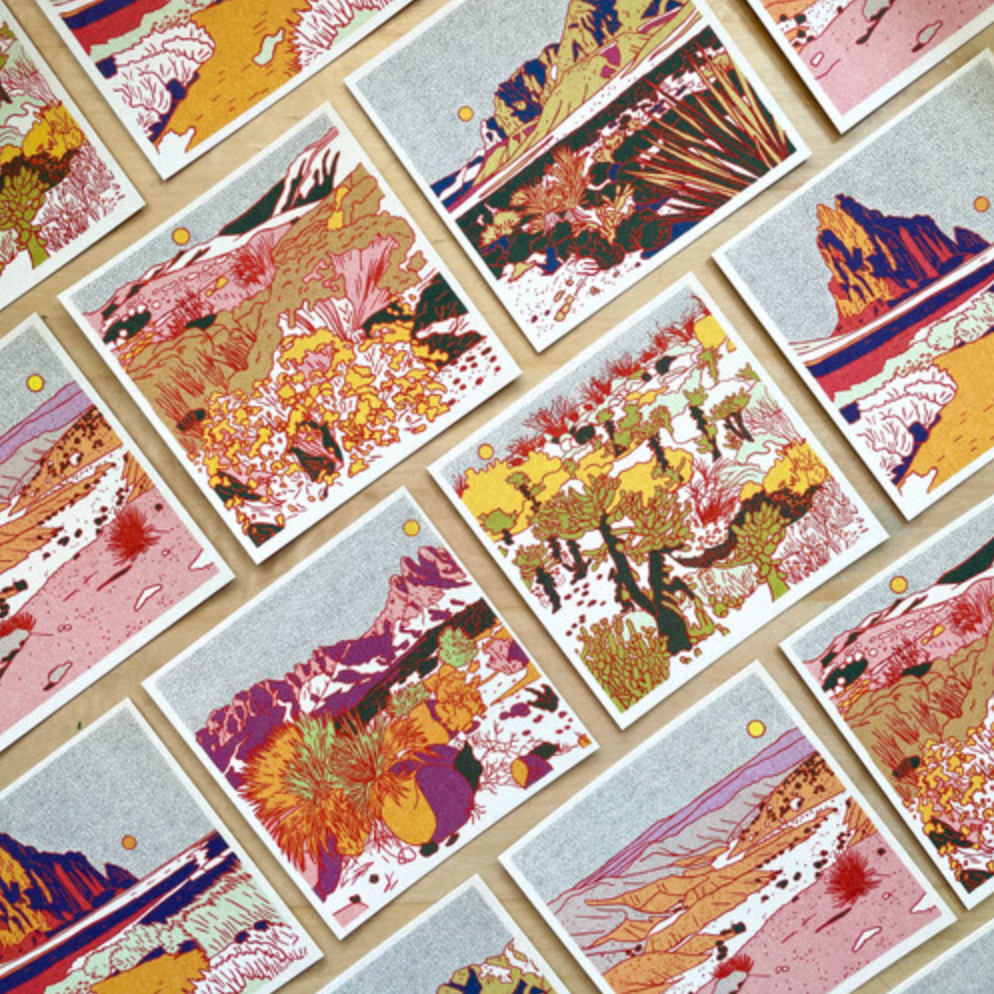 Desert Scene Postcards - Set of 12