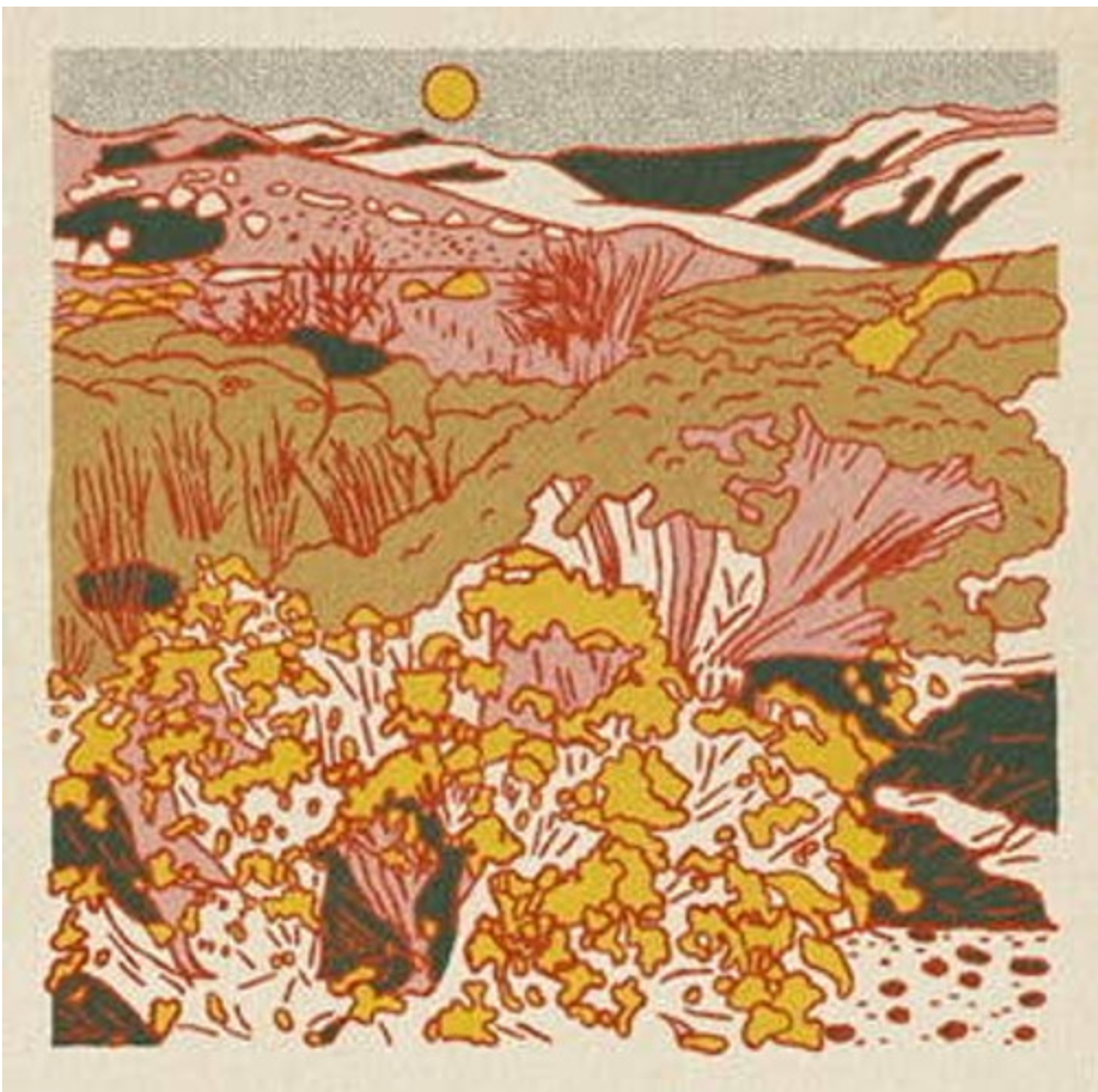 Desert Scene Postcards - Set of 12