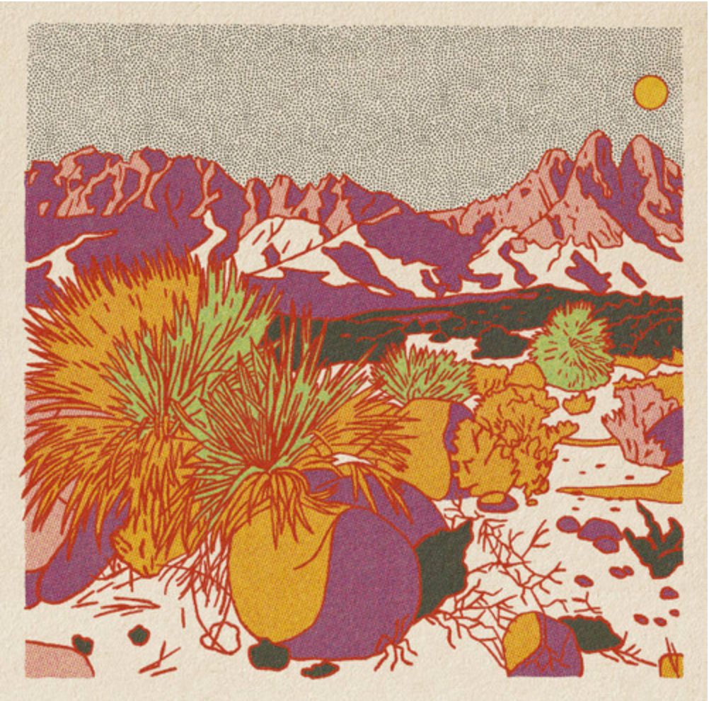 Desert Scene Postcards - Set of 12