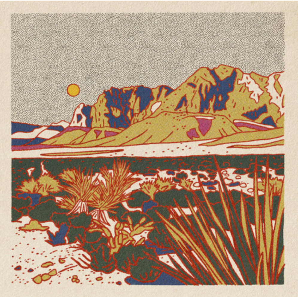 Desert Scene Postcards - Set of 12