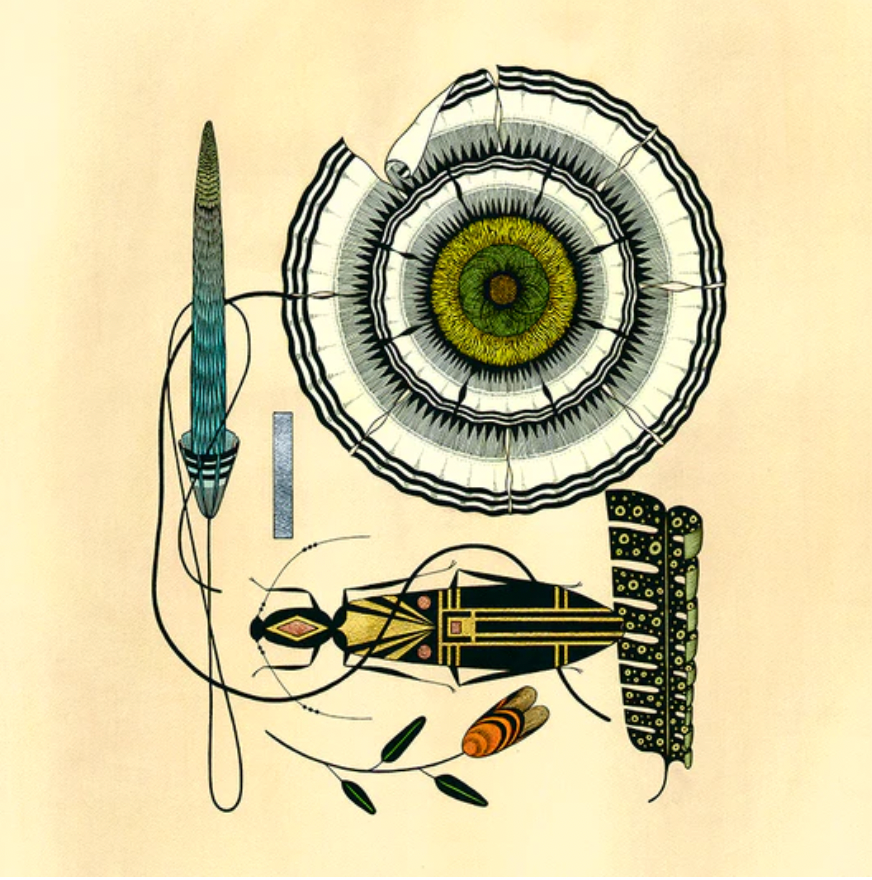 Surrender & Trust + Print