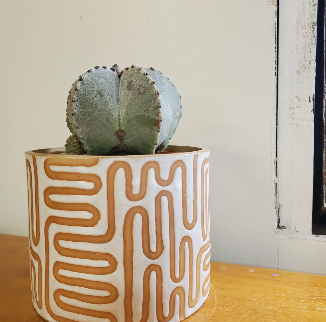 Wiggle Pattern + Planter - DonLo Mercantile