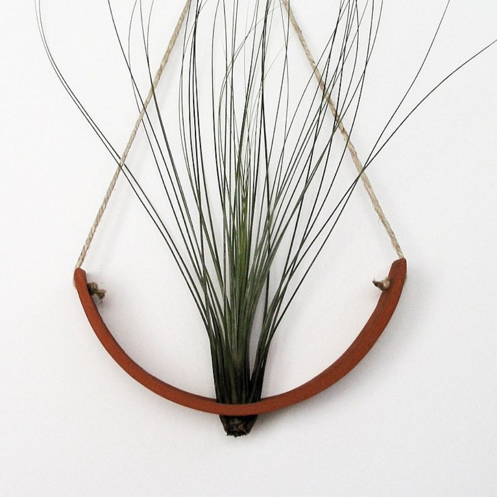 Hanging Ceramic Air Plant Cradle + Terracotta + Large