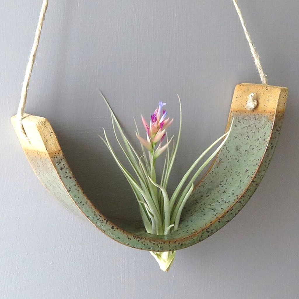 air plant cradle Hanging Ceramic Air Plant Cradle + Green Gunmetal + Large