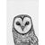 Black + White Barn Owl Print