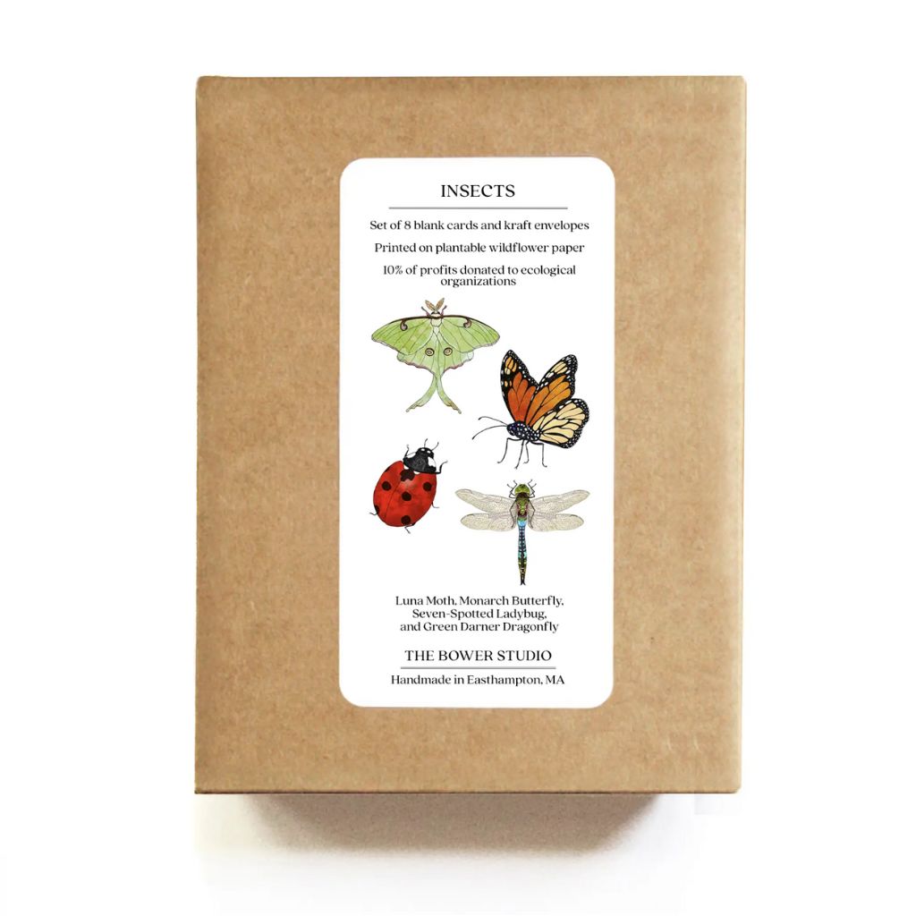 Insect Card Set