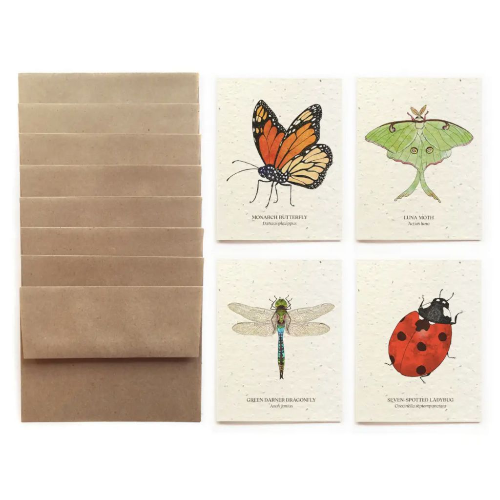 Insect Card Set - DonLo Mercantile
