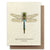 Green Darner Dragonfly Card