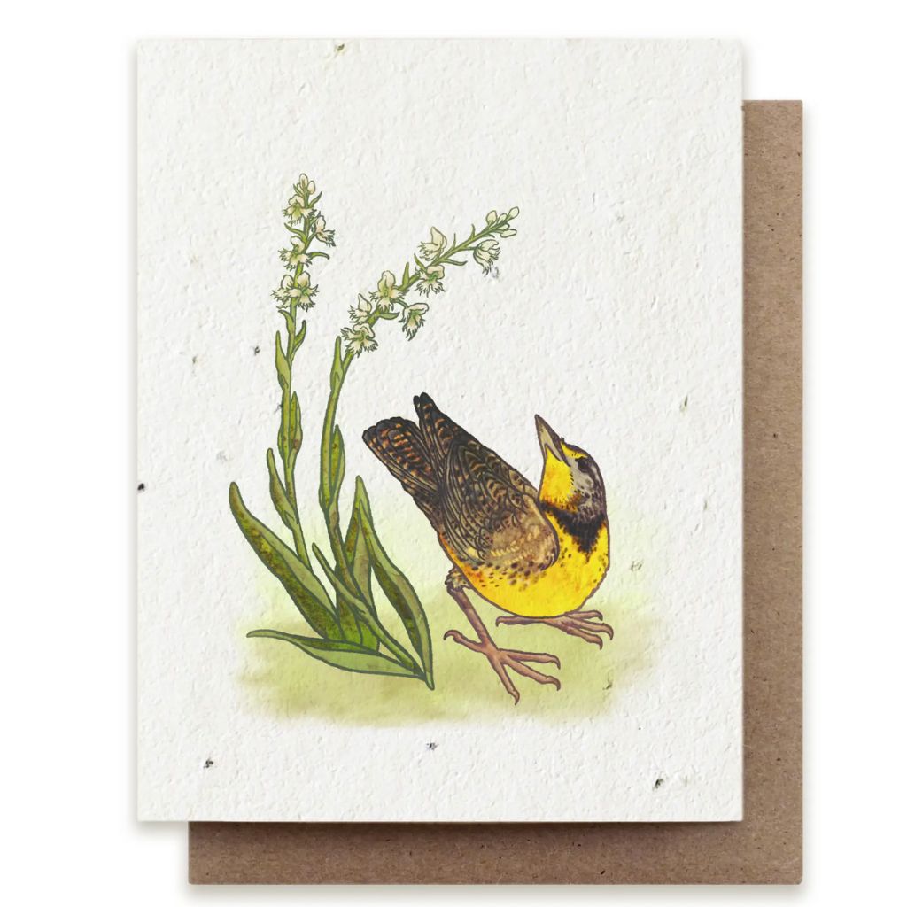 Meadowlark Card