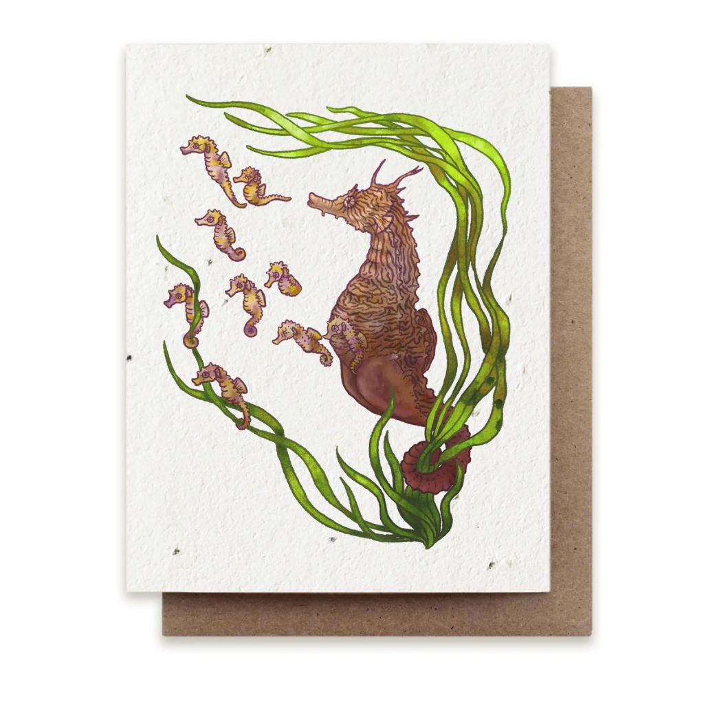 Seahorse Card