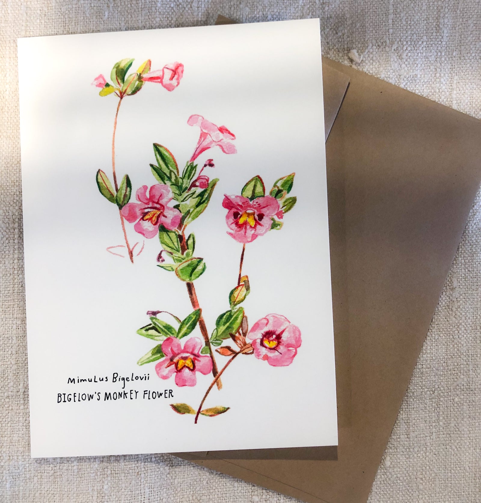 Mimulus Bigelovii Card